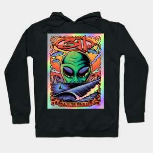 311 back to the beach 2018 Hoodie